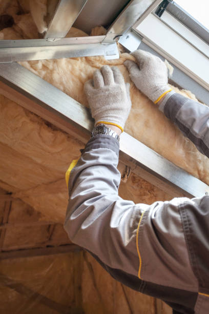 Types of Insulation We Offer in Belleville, WI