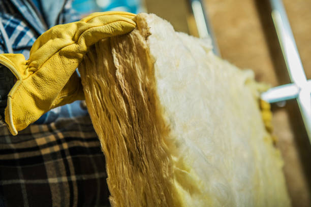 Best Cellulose Insulation in Belleville, WI