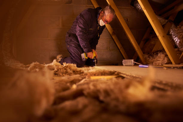 Best Eco-Friendly Insulation in Belleville, WI